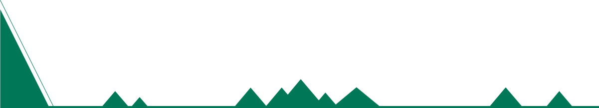 catalog-footer