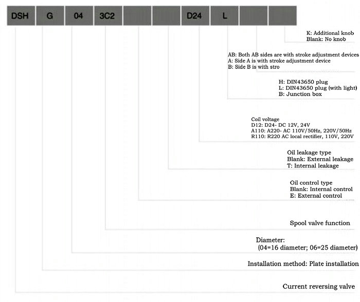DSHG-06 Ordering code_